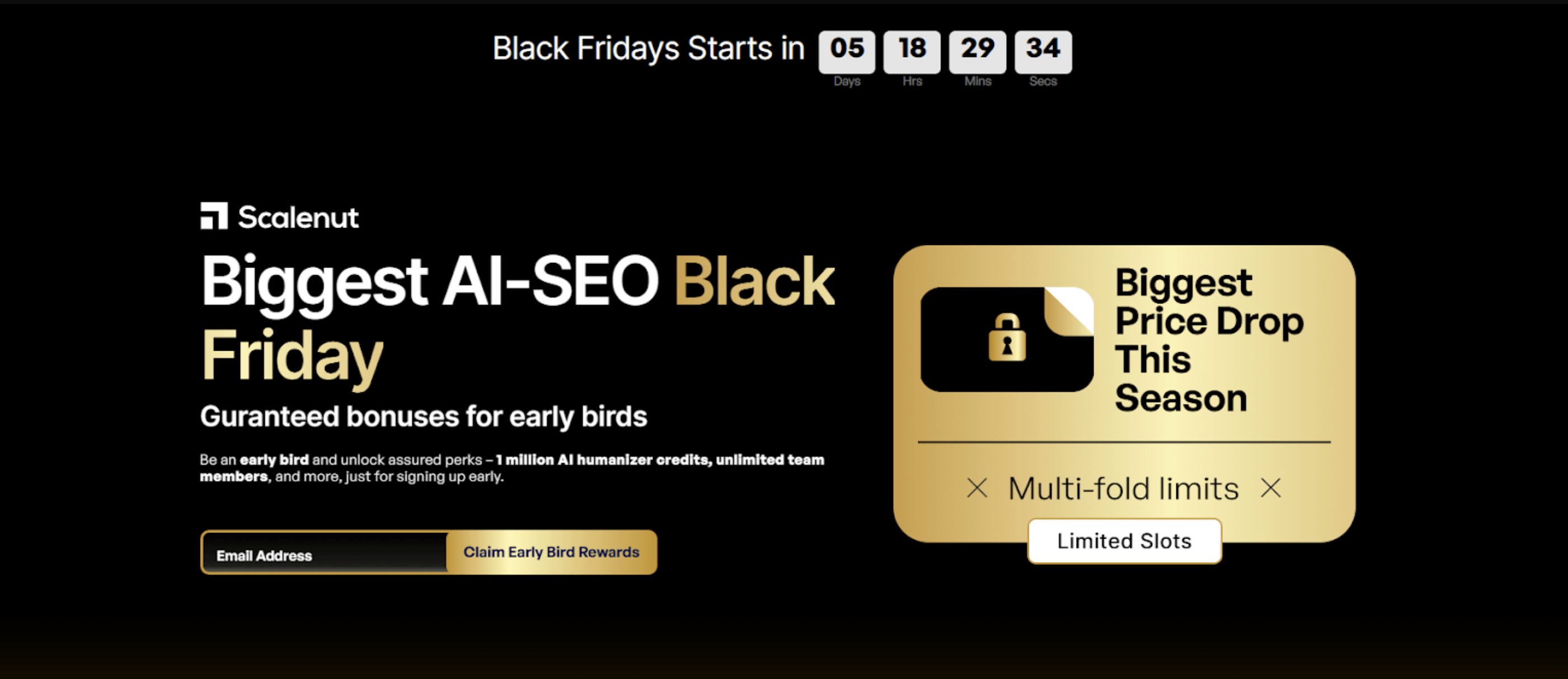 Scalenut Blackfriday